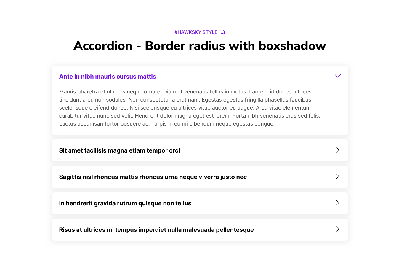 Hawksky-Accordion-with-fully-functionality-01