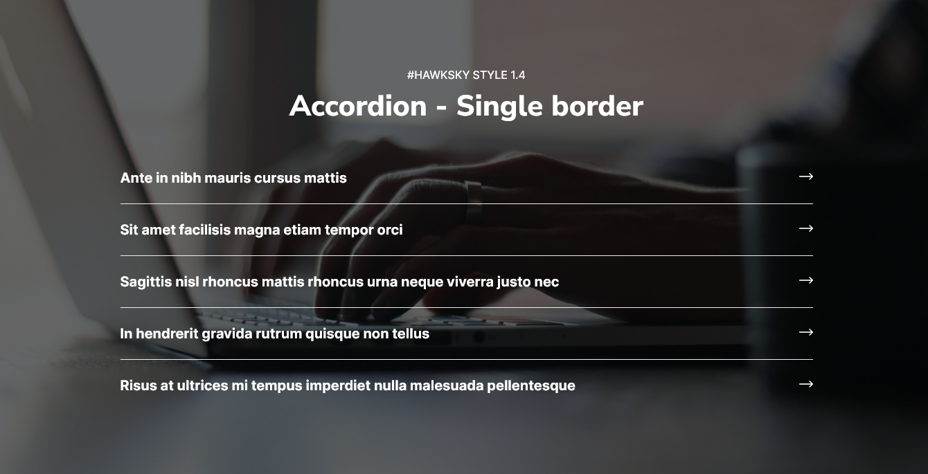 Hawksky-Accordion-with-fully-functionality-03