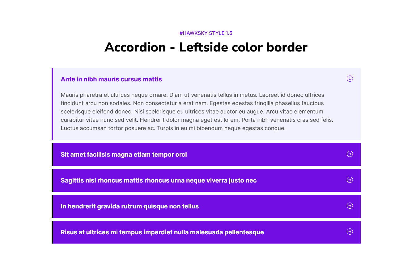 Hawksky-Accordion-with-fully-functionality-04