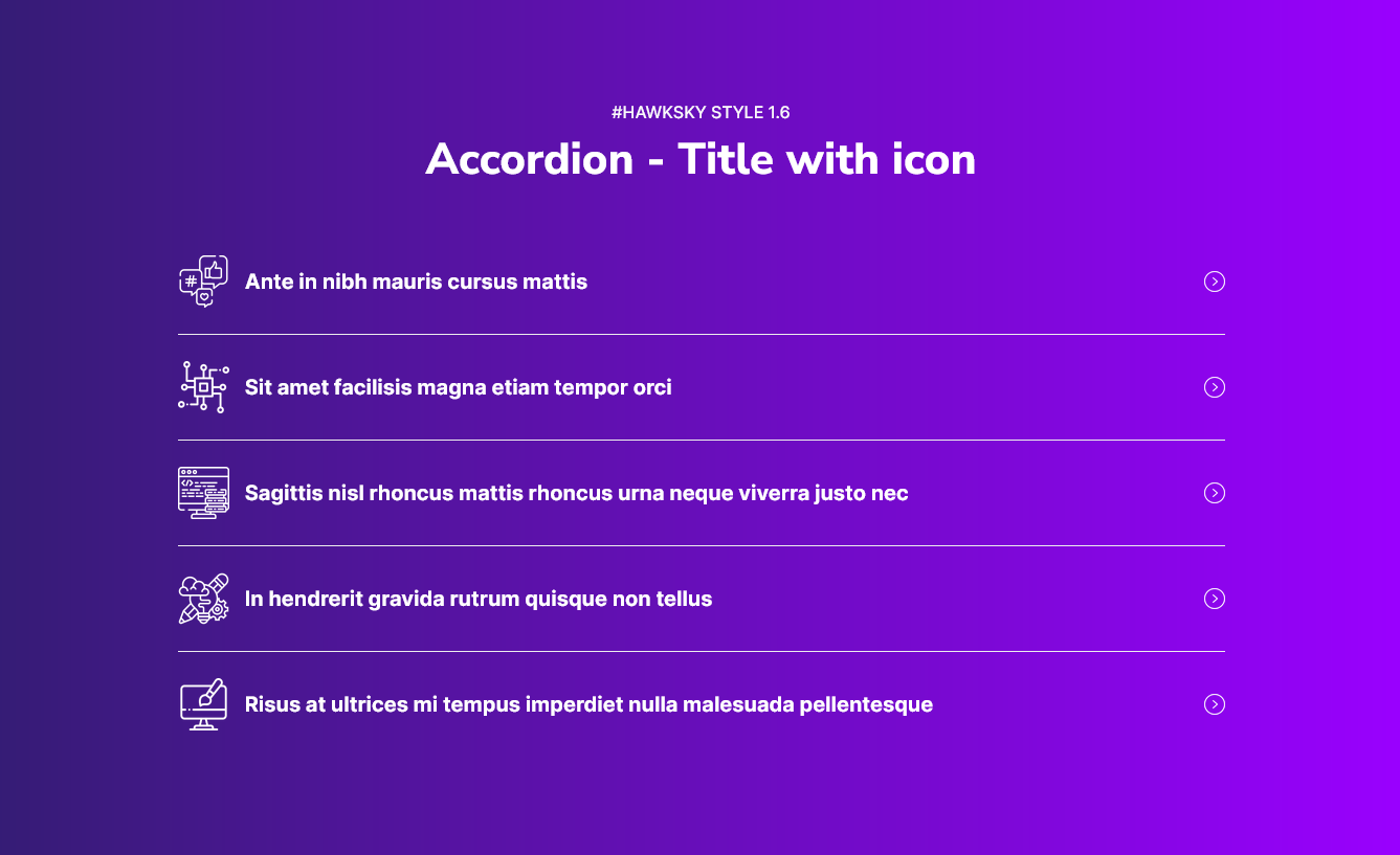 Hawksky-Accordion-with-fully-functionality-05