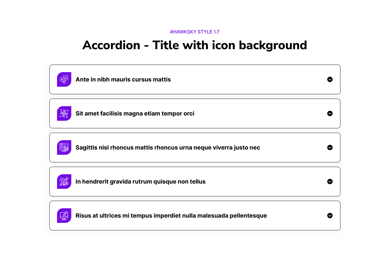 Hawksky-Accordion-with-fully-functionality-06