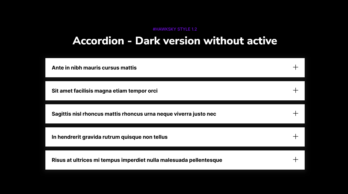 Hawksky-Accordion-with-fully-functionality02