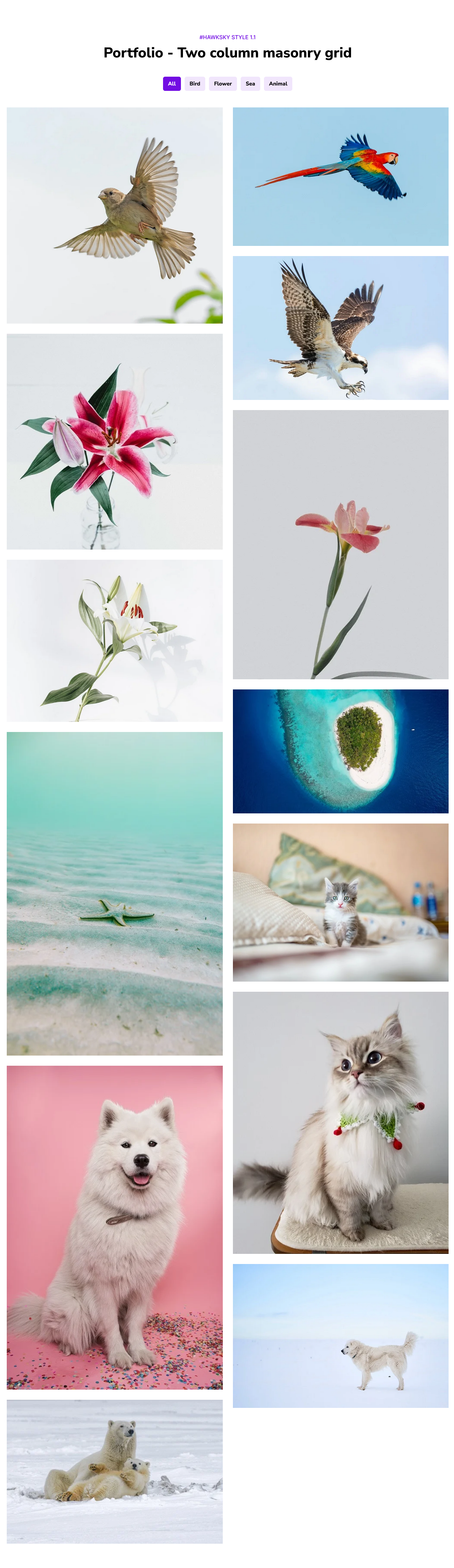 Hawksky-Masonry-Filterable-Portfolio-01